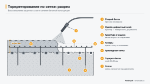 Разрез торкретирования по сетке: очищенная арматура, анкеры, сетка и слой торкрет-бетона 30–80 мм
